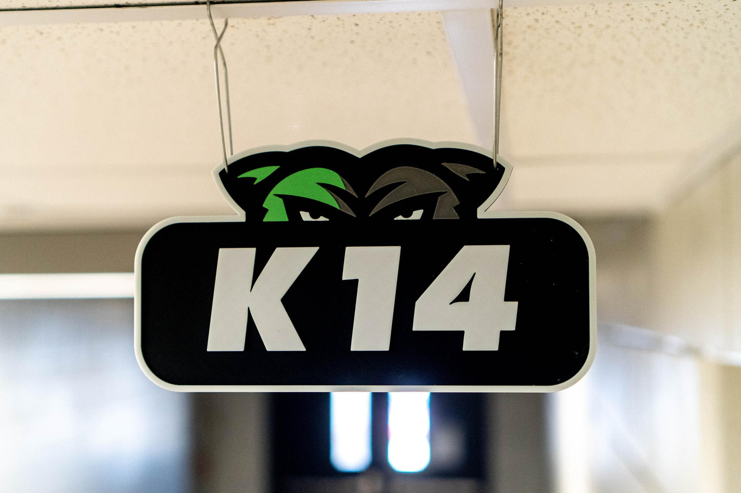 Derby High School Ceiling Sign